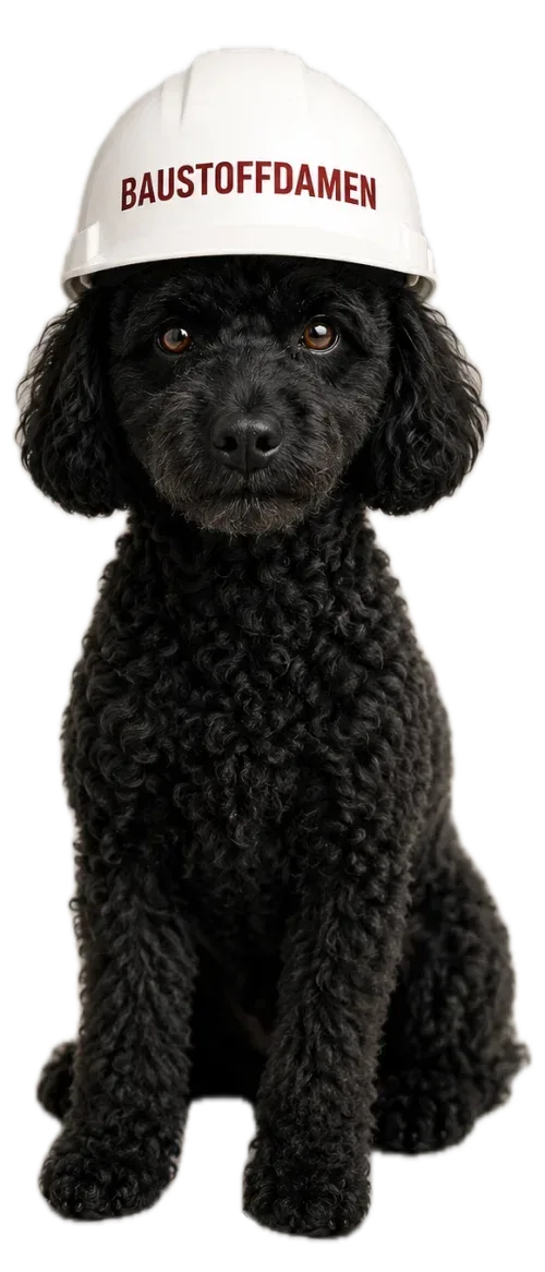 Pino, schwarzer Pudel und Bürohund der BAUSTOFFDAMEN, mit weißem BAUSTOFFDAMEN-Bauhelm